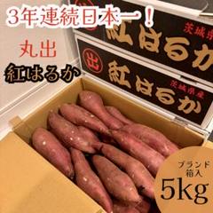 日本一のさつま芋 茨城県産 紅はるか 丸出 Mサイズ 5kg箱 お
