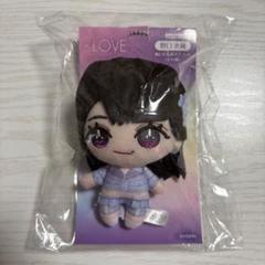 イコラブ アリーナツアー ぬいぐるみマスコット 野口衣織 ＝LOVE