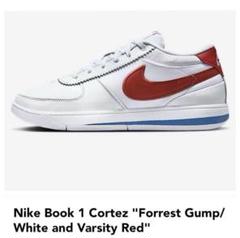 完売サイズ！新品！　Nike Book1 EP 『us8.5・jp26.5』 完売サイズ！ Nike Book1 EP 『us8.5・jp26.5』 シューズ(男性用)