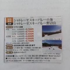 2025年最新】シャトレーゼ リフト券の人気アイテム - メルカリ