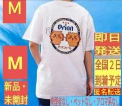 新品・未開封］ M ちいかわ オリオンビール ① Tシャツ あうん