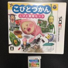 3DS こびとづかん