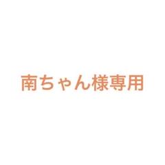 ポンタ　タニカワ 名鉄800系 モ850ク2350 車体バラキット 2輌 ポンタ様専用 タニカワ 名鉄800系 モ850ク2350 車体バラキット 2輌