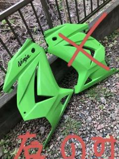 【海外限定】 Ninja250R サイドカウル グリーン 左のみ - メルカリ パーツ