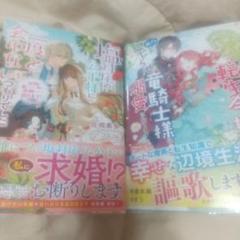 塩対応の公子様に二度と会わないつもりでした …+追放された転生令嬢ですが、…２冊