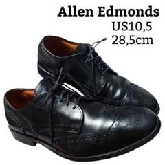 アレンエドモンズ Ashland ウイングチップ USA製 28,5cm