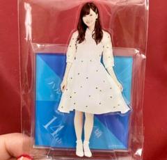 2025年最新】白石麻衣 アクリルスタンドの人気アイテム - メルカリ