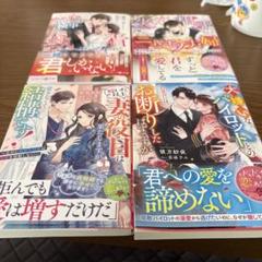 失恋相手と今日からニセモノ夫婦はじめます～愛なき結婚をした警視正に実は溺愛され…
