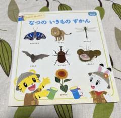 2025年最新】なつのずかんの人気アイテム - メルカリ
