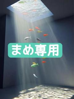 まめ専用