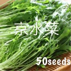 まき時! 京水菜 ドドーンっと! 種50粒!