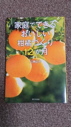 昭和 昭和初期 本 古書 古本 古文書 正しい補題と課外指導 算術の宿題 ...