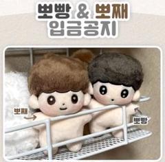 THE BOYZ ヨンフン ヒョンジェ セット マスタ ぬいぐるみ10cm