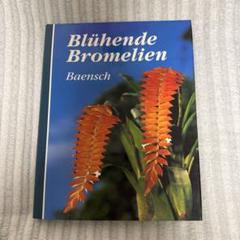セール！ 洋書『ベネズエラの山岳植物、アンデスとテプイ、ブロメリア』植物図鑑 セール！ 洋書『ベネズエラの山岳植物、アンデスとテプイ