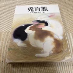 兎百態