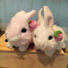 ウサギ ぬいぐるみ 2匹セット まとめ売り - メルカリ