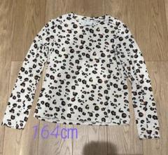 ZARA ヒョウ柄 長袖カットソー 164cm