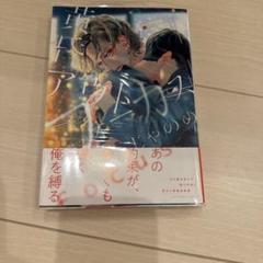Γ 【未使用】黄昏アウトフォーカス 複製サイン入り メモリアルアート CATEGORY じゃのめ | K-BOOKS 池袋 2次元グッズ通販