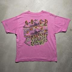 80s DACOTA SPORTSWEAR Tシャツ SURF stussy