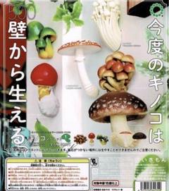 2025年最新】キノコマグネット シイタケの人気アイテム - メルカリ