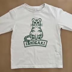ノースフェイス 石垣店限定  Ishigaki Cat Tee 150 ノースフェイス 石垣店限定 Ishigaki Cat Tee 150 ノース