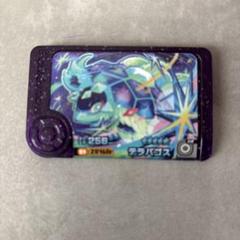 【ポケモンフレンダ】テラパゴス256 スーパートレジャー レア
