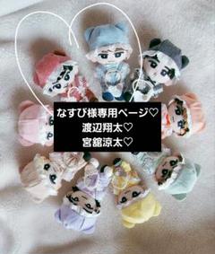 なすび様専用ページ SnowMan すのチル チルぬい ぬい服 渡辺 宮