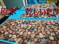 2025年最新】香茸の人気アイテム - メルカリ