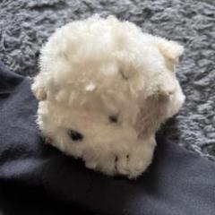 l*読様 ふわふわ　もこもこ　うめ吉　くたくた　小ぶり　手のひら　ミニサイズ　ぬ l*読様 ふわふわ もこもこ うめ吉 くたくた 小ぶり 手のひら