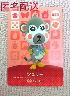 とびだせどうぶつの森 amiiboカード アミーボカード シェリー