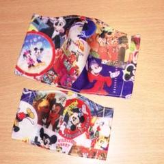 立体インナーマスク✻ハンドメイド✻ディズニー親子ペアセット③