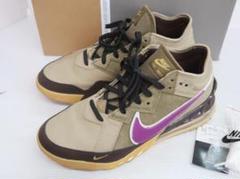 NIKE ナイキ × atmos アトモス LEBRON 18 LOW NRG