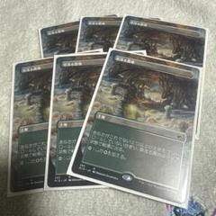 2025年最新】MTG デッキ パイオニアの人気アイテム - メルカリ