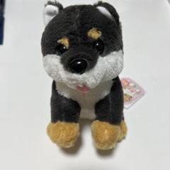 くったり柴犬  VMC コンプリート ≪11月の新商品≫くったり柴犬☆アミューズプライズ-NEW ITEM