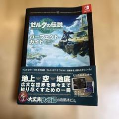 2025年最新】ゼルダの伝説 ティアーズ オブ ザ キングダム