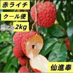 桂味ライチ（クール便）1kg ライチの季節〜！おすすめライチたち！ | 香港ヒモ日記