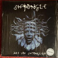 Shpongle Are you Shpongled? アナログレコード 未開封 2025年最新】SHPONGLEの人気アイテム - メルカリ