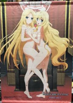 エリザベス＆メアリ B2タペストリー 境界線上のホライゾン