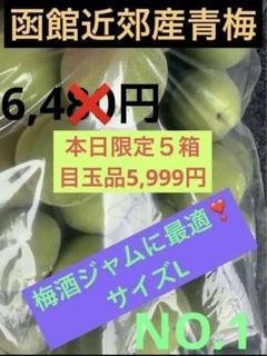 函館近郊産青梅　豊後梅5キロサイズL‼️ 冷蔵）青森の青梅[豊後梅ぶんごうめ]M〜Lサイズ混合約5kg 梅