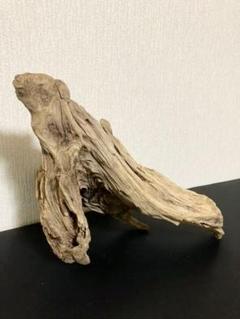 流木*No.1 インテリアや爬虫類、昆虫などに