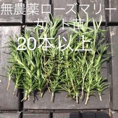 2025年最新】ローズマリーの人気アイテム - メルカリ