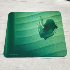 カエル　マウスパッド　フォトパッド　世界のカエルシリーズ　グリーン