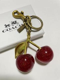 2025年最新】コーチ キーホルダー チェリーの人気アイテム