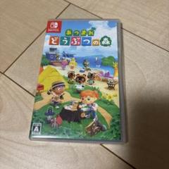 あつまれ どうぶつの森 Nintendo Switch