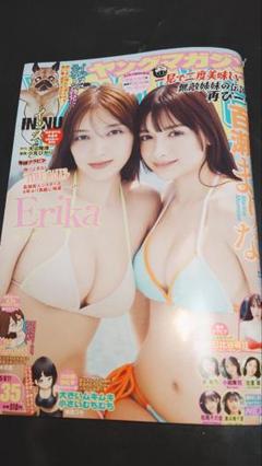 ヤンマガ