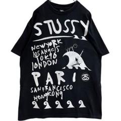 STUSSY ステューシー 半袖 Tシャツ スケシン skatething L