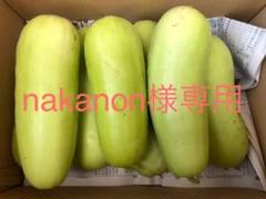 nakanon様専用。瓜(沼目シロウリ) 愛媛県産 無農薬 約5キロ