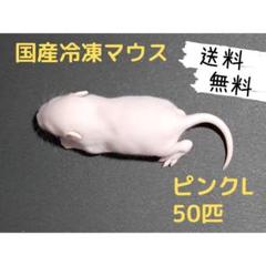国産冷凍マウス ピンクL 50匹(送料無料一部地域発送不可) - メルカリ