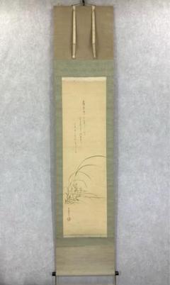 掛軸 小山春翠 河原撫子之図 画賛 花 なでしこ 掛軸 小山春翠 河原撫子之図 画賛 花 なでしこ - メルカリ