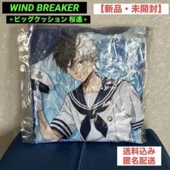 2025年最新】windbreaker クッションの人気アイテム - メルカリ